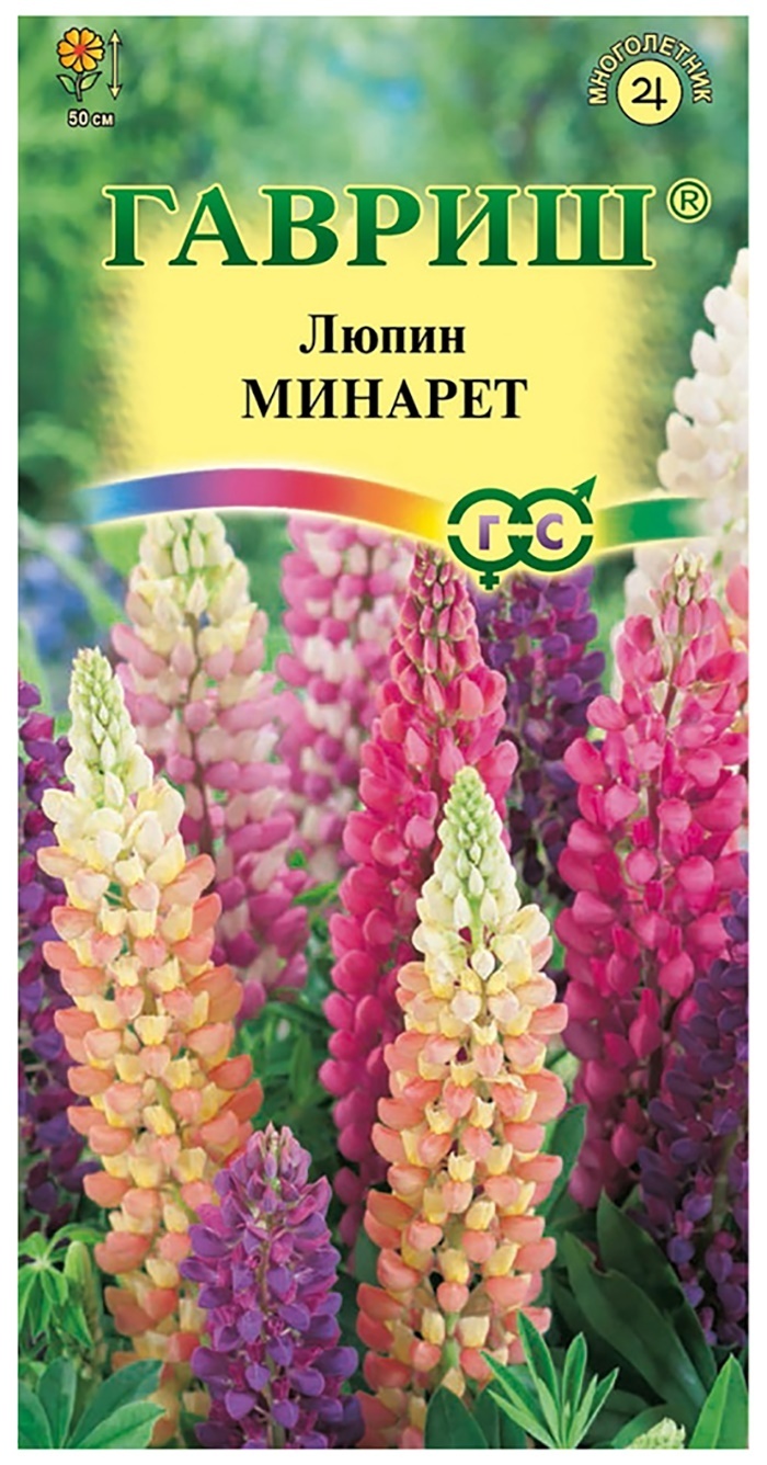 Люпин минарет